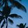 Aesthetic Palm Tree Background