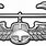 Air Assault Symbol Army
