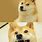 Akita Inu Meme