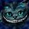 Alice Wonderland Cat Smile