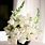 All White Flower Arrangements