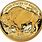 American Buffalo Gold Proof Coin