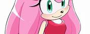 Amy Rose the Hedgehog with Long Hair