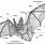 Anatomy of a Bat