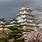 Ancient Japanese Castles