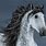 Andalusian Horse Facts