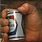 Andre Giant Beer Hand