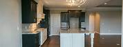 Anew Gray Kitchen