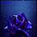 Animated Blue Rose