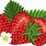 Animated Strawberries