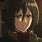 Aot Mikasa Anime