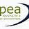 Apea Logo