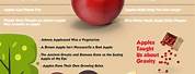Apple Fruit Infographic