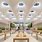 Apple Showroom