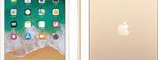 Apple iPad 5th Generation White