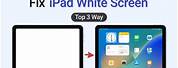 Apple iPad White Screen of Death