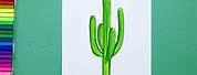 Arizona Cactus Drawings