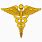 Army Medical Symbol