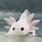 Axolotl as a Baby
