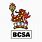 BCSA Logo