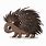 Baby Porcupine Clip Art
