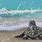 Baby Sea Turtle Art