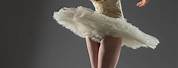 Ballerina Photography Art