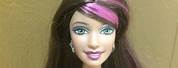 Barbie with Pink Streak in Hair