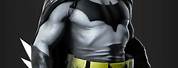 Batman Alex Ross Costume