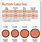 Battery Cable Wire Size Chart