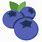 Berries Emoji