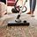 Best Vacuum Cleaners for Carpet