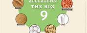 Big 9 Allergens