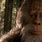 Bigfoot Abominable Movie