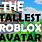 Biggest Roblox Avatar