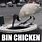 Bin Chicken Meme