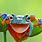 Bing Frog Wallpaper