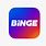Binge Icon