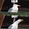 Bird Inhale Meme