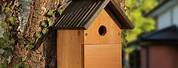 Bird Nest Boxes