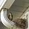 Bird Nests On Houses