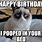 Birthday Funny Grumpy Cat Memes