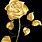 Black Background with Gold Rose