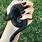 Black Snake Pet