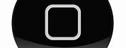 Black iPhone 6 White Home Button