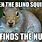 Blind Squirrel Meme