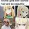 Blonde Anime Girl Meme