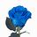 Blue Rose with Stem