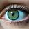 Bluish Green Eye Color