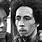 Bob Marley and Ziggy Marley